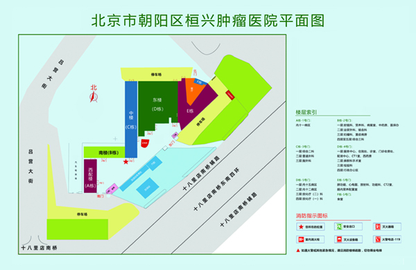 日逼了日逼了北京市朝阳区桓兴肿瘤医院平面图